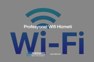 Profesyonel Wireless Çözümleri
