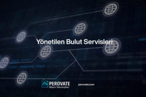 Sistem ve Network Danışmanlığı