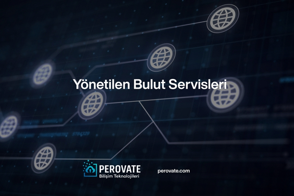 Sistem ve Network Danışmanlığı