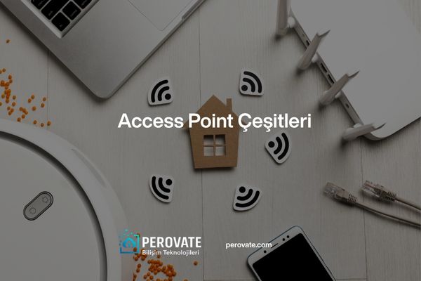 Access Point Çeşitleri