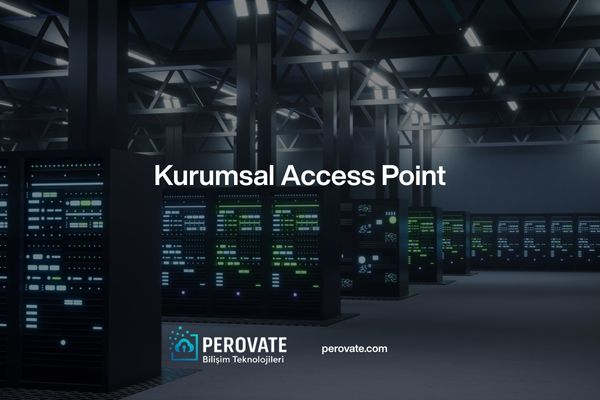 Kurumsal Access Point
